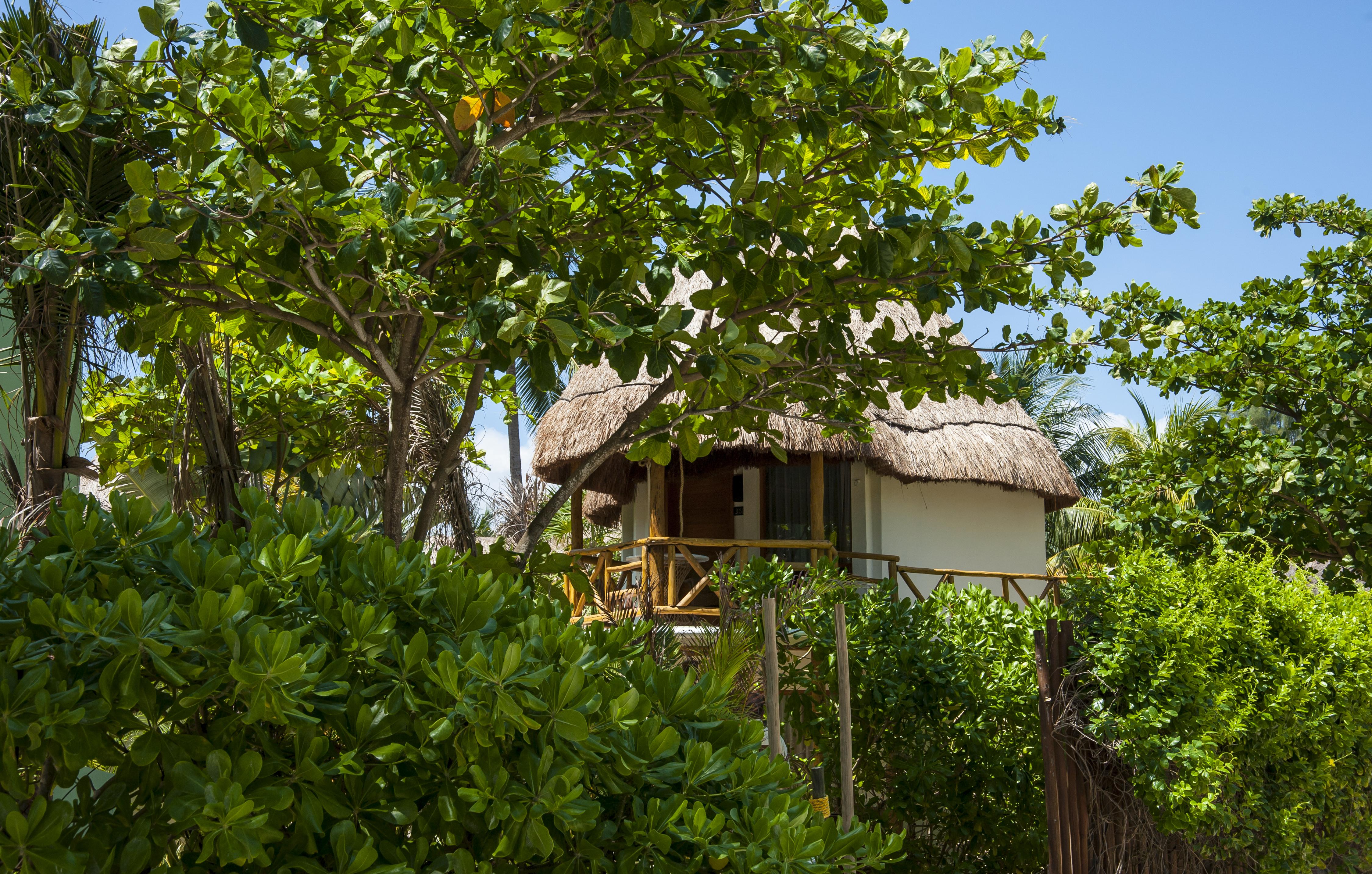 Mahekal Beach Front Resort & Spa Playa del Carmen Exterior foto